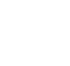 PHD Check Logo White